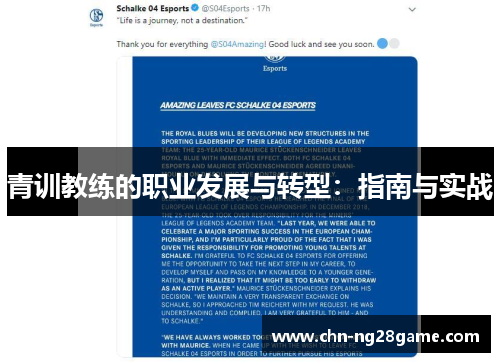 青训教练的职业发展与转型:指南与实战 青训教练的职业发展与转型:指南与实战