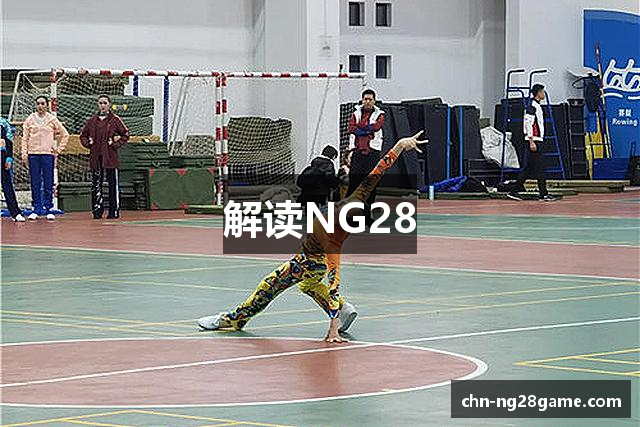解读NG28